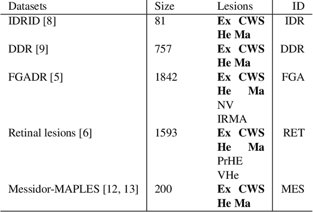 Figure 1 for Cross-Dataset Generalization For Retinal Lesions Segmentation