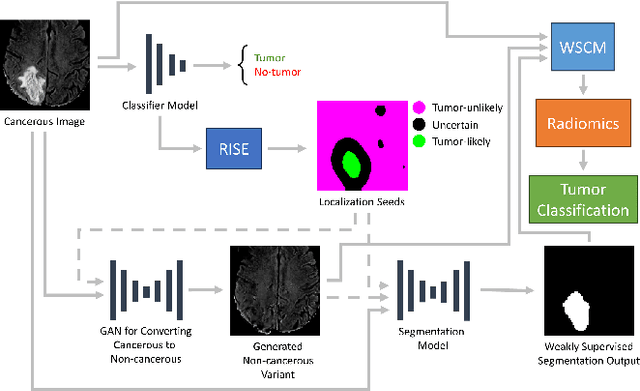 Figure 1 for A novel GAN-based paradigm for weakly supervised brain tumor segmentation of MR images