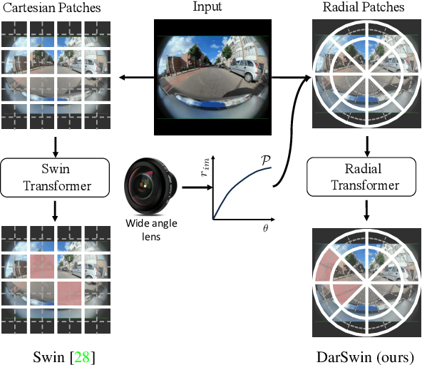 Figure 1 for DarSwin: Distortion Aware Radial Swin Transformer