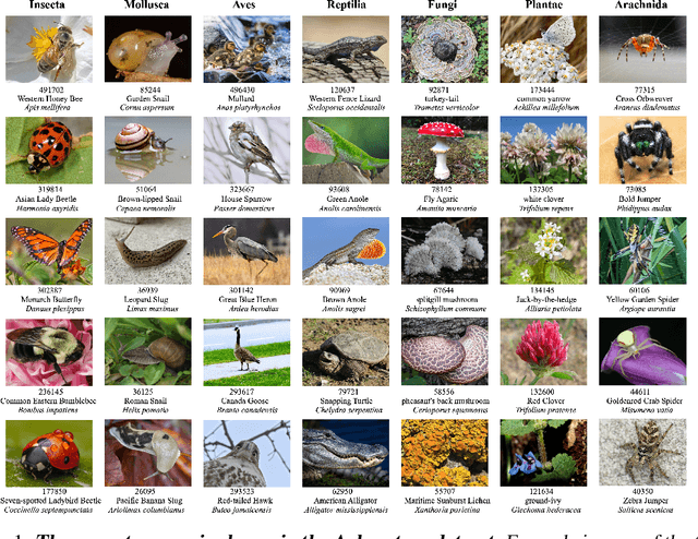 Figure 1 for Arboretum: A Large Multimodal Dataset Enabling AI for Biodiversity