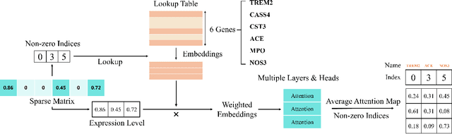 Figure 3 for Weighted Diversified Sampling for Efficient Data-Driven Single-Cell Gene-Gene Interaction Discovery