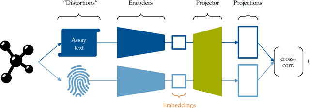 Figure 1 for TwinBooster: Synergising Large Language Models with Barlow Twins and Gradient Boosting for Enhanced Molecular Property Prediction