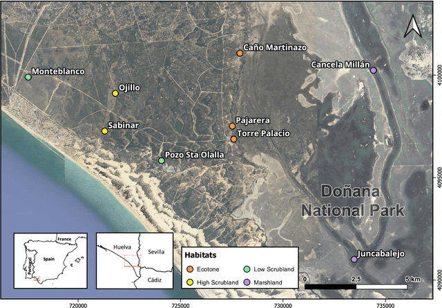 Figure 4 for A Bird Song Detector for improving bird identification through Deep Learning: a case study from Doñana