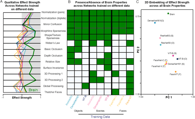 Figure 4 for Brain-like emergent properties in deep networks: impact of network architecture, datasets and training