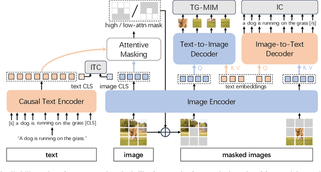 Figure 3 for SyCoCa: Symmetrizing Contrastive Captioners with Attentive Masking for Multimodal Alignment