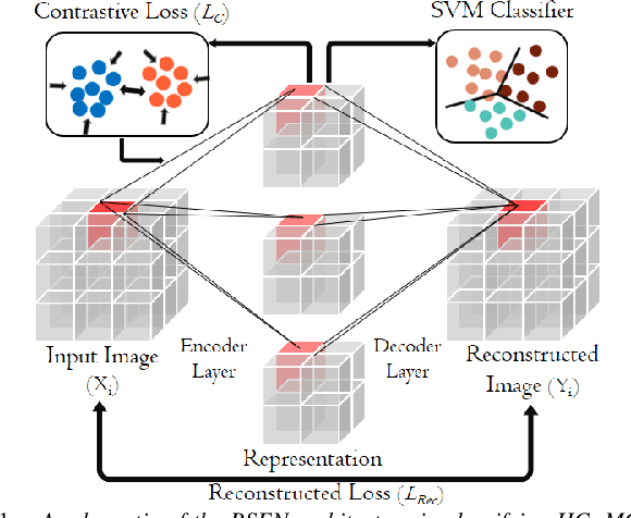 Figure 1 for Behavior Score-Embedded Brain Encoder Network for Improved Classification of Alzheimer Disease Using Resting State fMRI