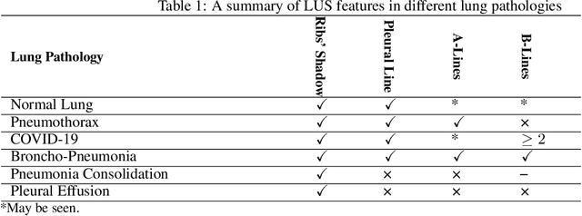 Figure 2 for Automatic Feature Detection in Lung Ultrasound Images using Wavelet and Radon Transforms