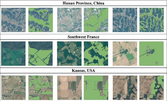 Figure 3 for Weakly Supervised Framework Considering Multi-temporal Information for Large-scale Cropland Mapping with Satellite Imagery