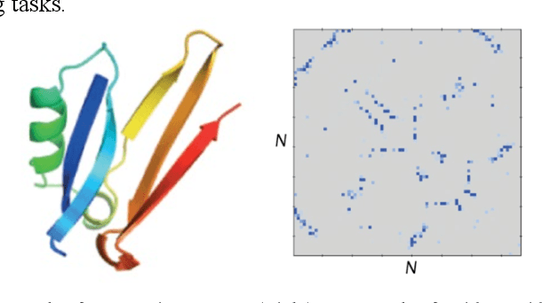 Figure 1 for Multiscale Graph Neural Networks for Protein Residue Contact Map Prediction