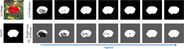 Figure 4 for Spatial Coherence Loss for Salient and Camouflaged Object Detection and Beyond