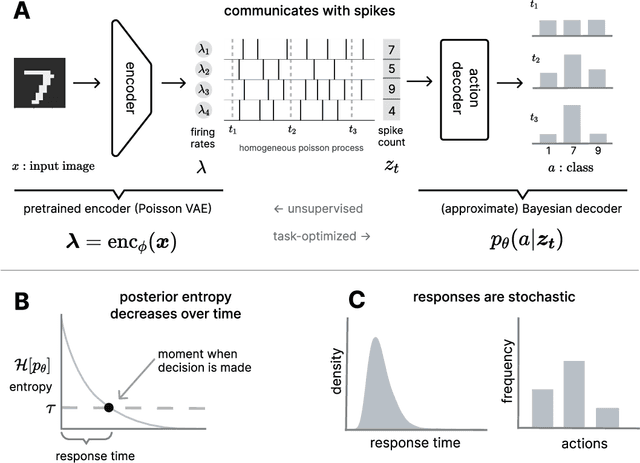 Figure 1 for Inferring response times of perceptual decisions with Poisson variational autoencoders