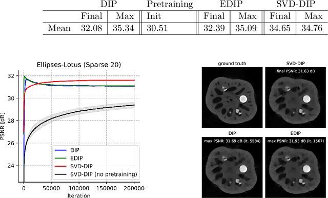 Figure 3 for SVD-DIP: Overcoming the Overfitting Problem in DIP-based CT Reconstruction