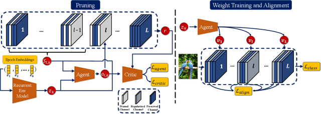 Figure 1 for Jointly Training and Pruning CNNs via Learnable Agent Guidance and Alignment