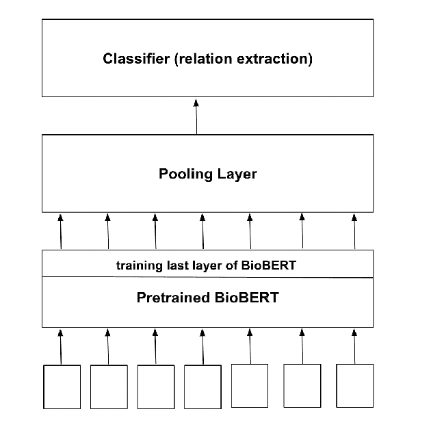 Figure 1 for BioNCERE: Non-Contrastive Enhancement For Relation Extraction In Biomedical Texts