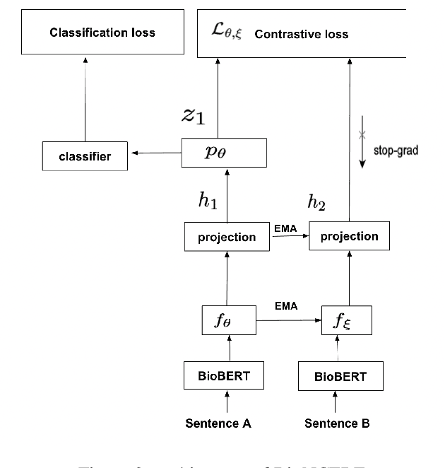 Figure 3 for BioNCERE: Non-Contrastive Enhancement For Relation Extraction In Biomedical Texts