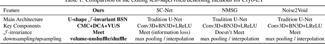 Figure 1 for J-Invariant Volume Shuffle for Self-Supervised Cryo-Electron Tomogram Denoising on Single Noisy Volume