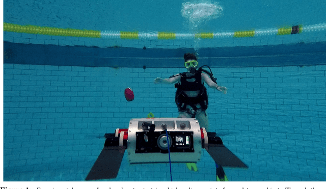 Figure 1 for Diver Interest via Pointing in Three Dimensions: 3D Pointing Reconstruction for Diver-AUV Communication