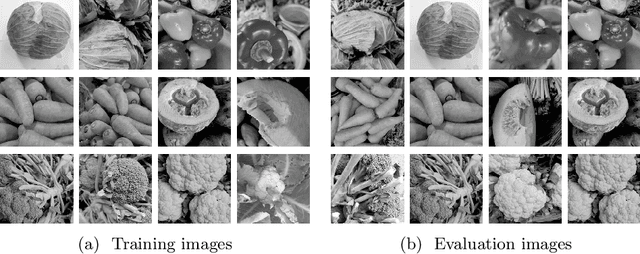 Figure 1 for Sparse Dictionary Learning for Image Recovery by Iterative Shrinkage