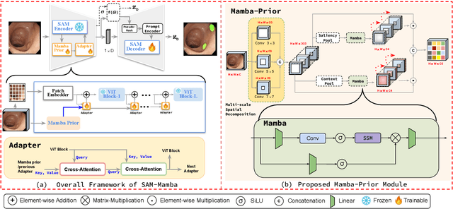 Figure 1 for SAM-Mamba: Mamba Guided SAM Architecture for Generalized Zero-Shot Polyp Segmentation