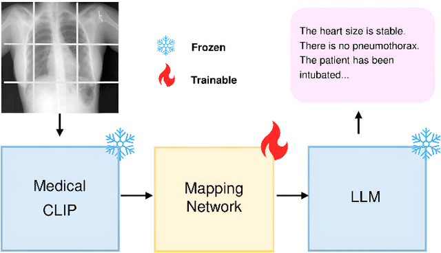 Figure 1 for Resource-Efficient Medical Report Generation using Large Language Models