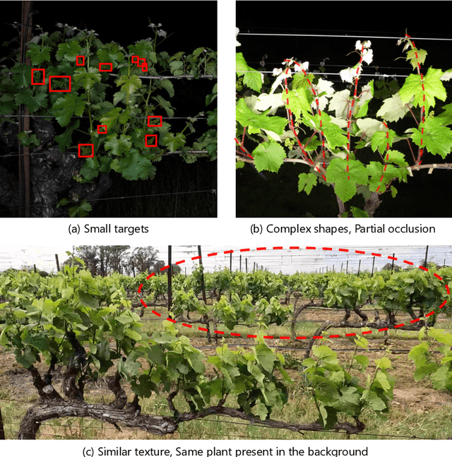 Figure 1 for D4: Text-guided diffusion model-based domain adaptive data augmentation for vineyard shoot detection