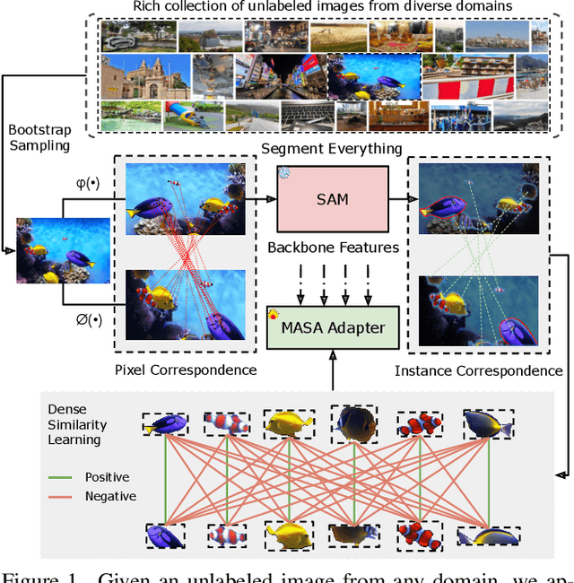 Figure 1 for Matching Anything by Segmenting Anything