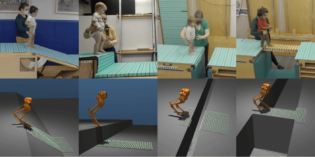 Figure 1 for Evaluating Robots Like Human Infants: A Case Study of Learned Bipedal Locomotion