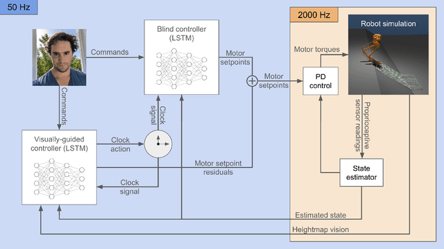 Figure 2 for Evaluating Robots Like Human Infants: A Case Study of Learned Bipedal Locomotion