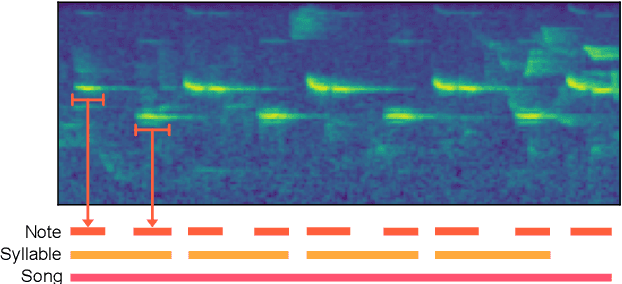 Figure 1 for Bird Vocalization Embedding Extraction Using Self-Supervised Disentangled Representation Learning