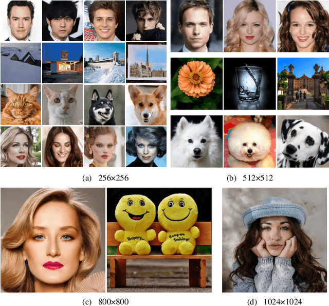 Figure 1 for TcGAN: Semantic-Aware and Structure-Preserved GANs with Individual Vision Transformer for Fast Arbitrary One-Shot Image Generation