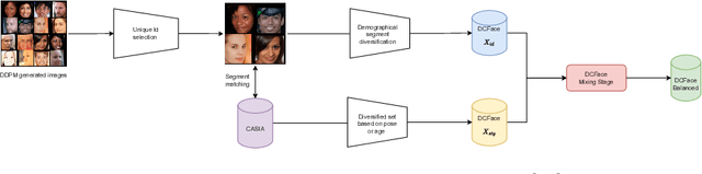 Figure 4 for Toward Fairer Face Recognition Datasets