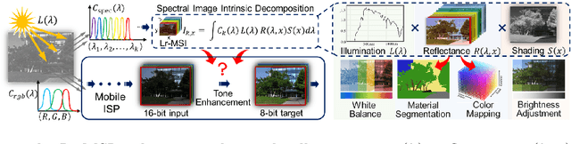 Figure 1 for Joint RGB-Spectral Decomposition Model Guided Image Enhancement in Mobile Photography