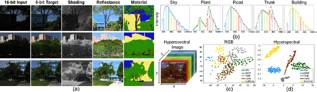 Figure 4 for Joint RGB-Spectral Decomposition Model Guided Image Enhancement in Mobile Photography