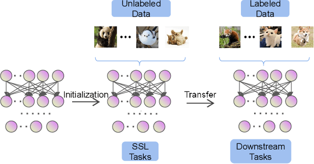 Figure 2 for A Survey of Self-Supervised Learning from Multiple Perspectives: Algorithms, Theory, Applications and Future Trends