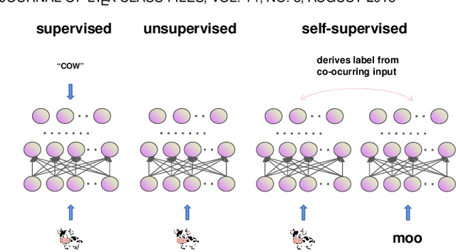 Figure 4 for A Survey of Self-Supervised Learning from Multiple Perspectives: Algorithms, Theory, Applications and Future Trends