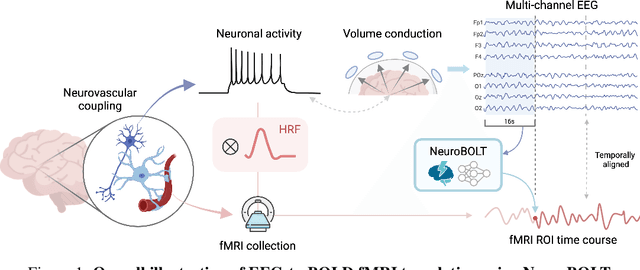 Figure 1 for NeuroBOLT: Resting-state EEG-to-fMRI Synthesis with Multi-dimensional Feature Mapping