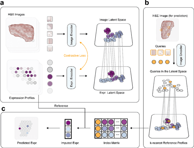 Figure 1 for Spatially Resolved Gene Expression Prediction from H&E Histology Images via Bi-modal Contrastive Learning