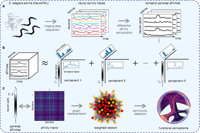 Figure 4 for Learning dynamic representations of the functional connectome in neurobiological networks