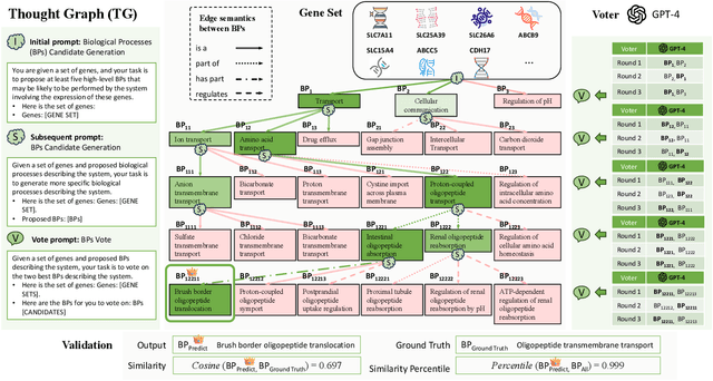 Figure 1 for Thought Graph: Generating Thought Process for Biological Reasoning