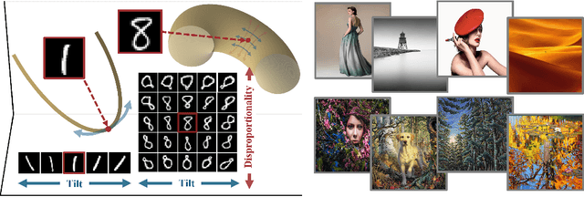 Figure 1 for A Geometric View of Data Complexity: Efficient Local Intrinsic Dimension Estimation with Diffusion Models