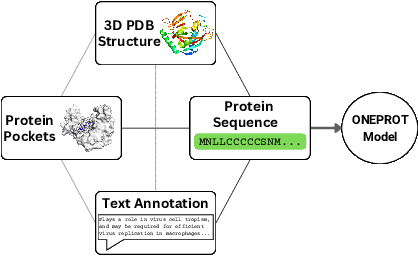 Figure 1 for OneProt: Towards Multi-Modal Protein Foundation Models