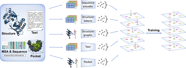 Figure 3 for OneProt: Towards Multi-Modal Protein Foundation Models