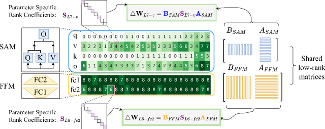 Figure 1 for Sparsely Shared LoRA on Whisper for Child Speech Recognition