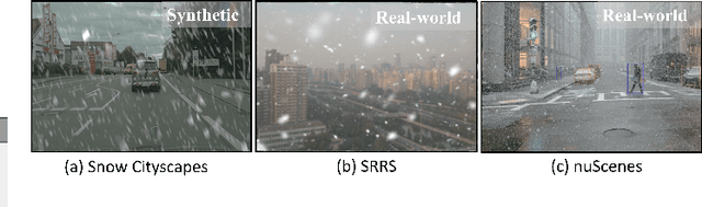 Figure 4 for Benchmarking the Robustness of Panoptic Segmentation for Automated Driving