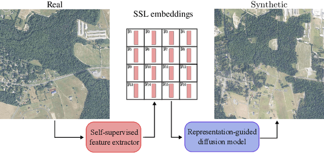 Figure 1 for Learned representation-guided diffusion models for large-image generation