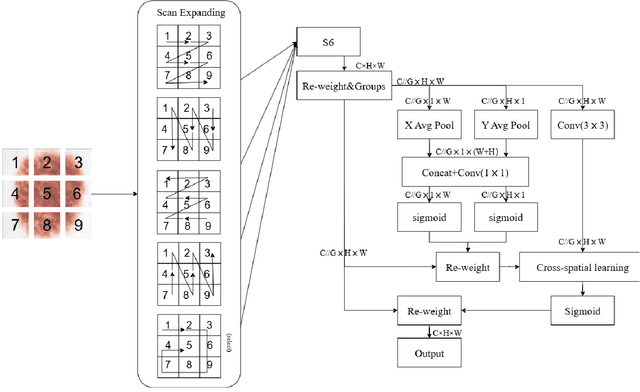 Figure 3 for KM-UNet KAN Mamba UNet for medical image segmentation