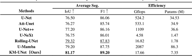 Figure 4 for KM-UNet KAN Mamba UNet for medical image segmentation