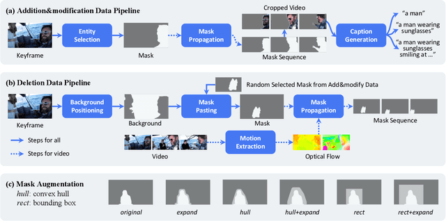 Figure 4 for VIVID-10M: A Dataset and Baseline for Versatile and Interactive Video Local Editing