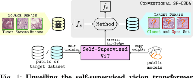 Figure 1 for Source-Free Open-Set Domain Adaptation for Histopathological Images via Distilling Self-Supervised Vision Transformer