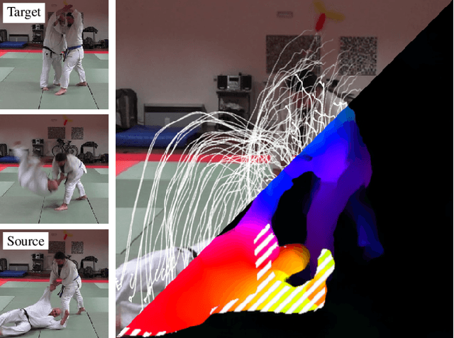 Figure 1 for Dense Optical Tracking: Connecting the Dots